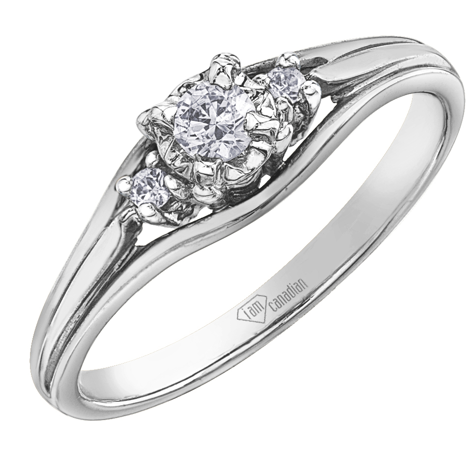 AM498 - Image 2