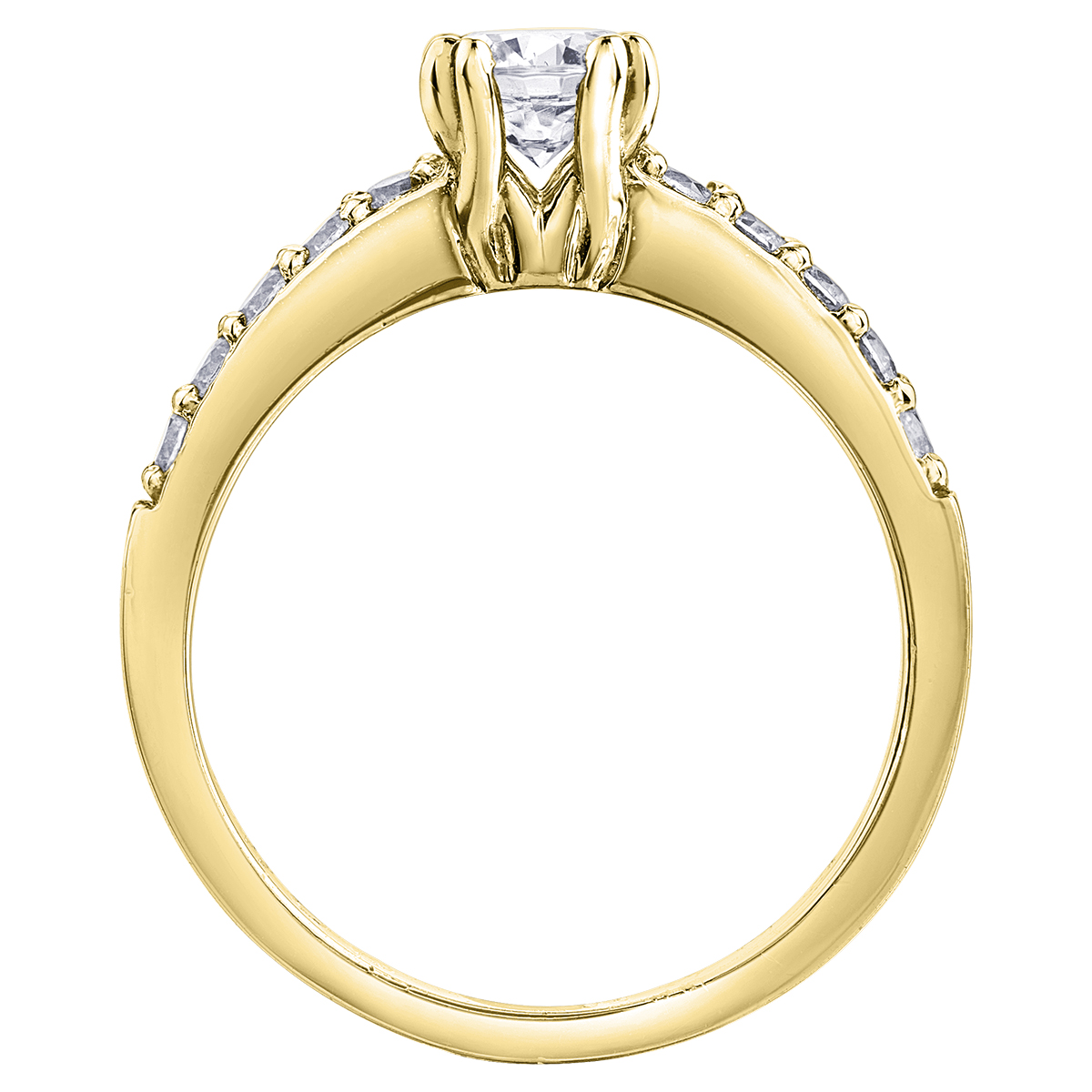 AM500 - Image 2