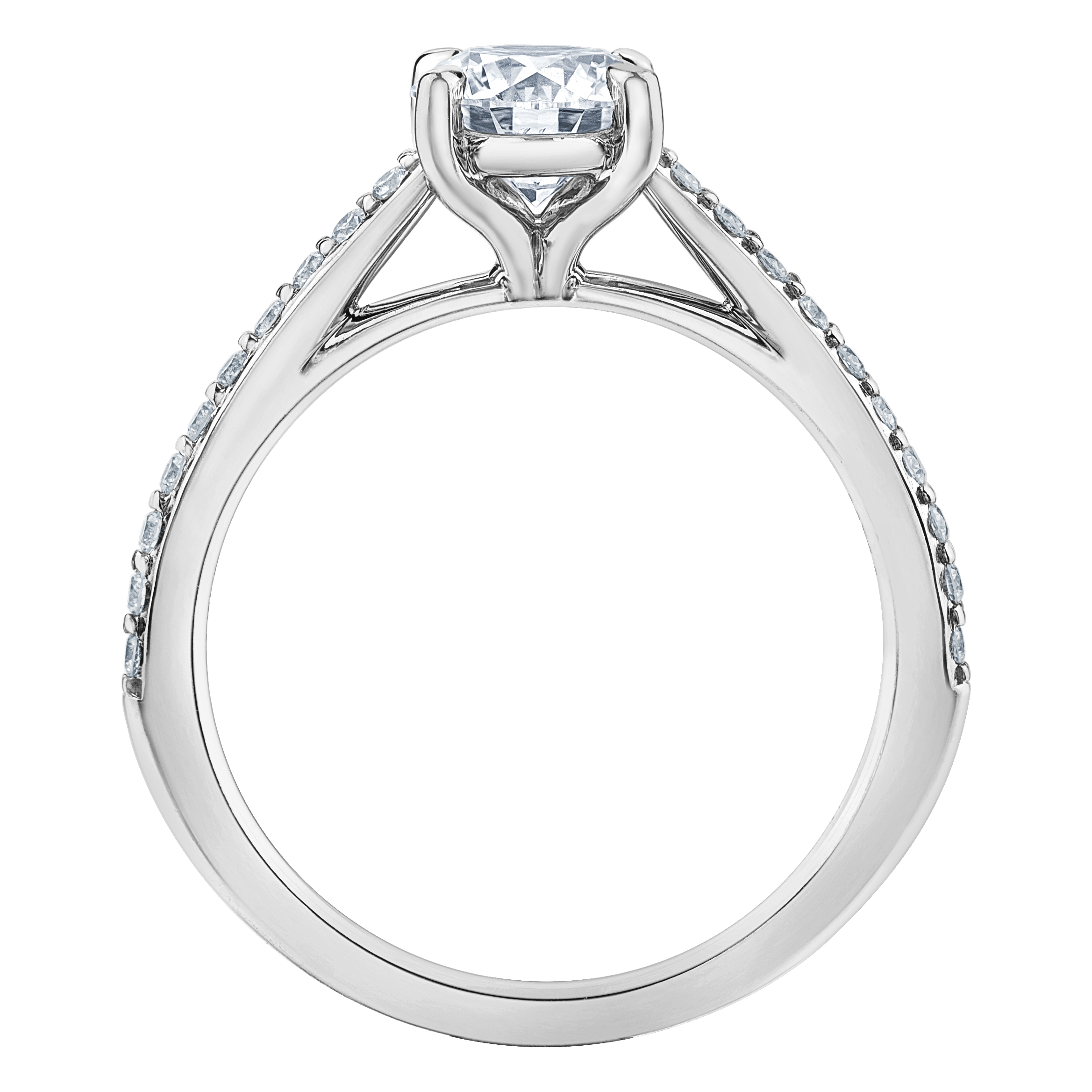 LD106 - Image 4