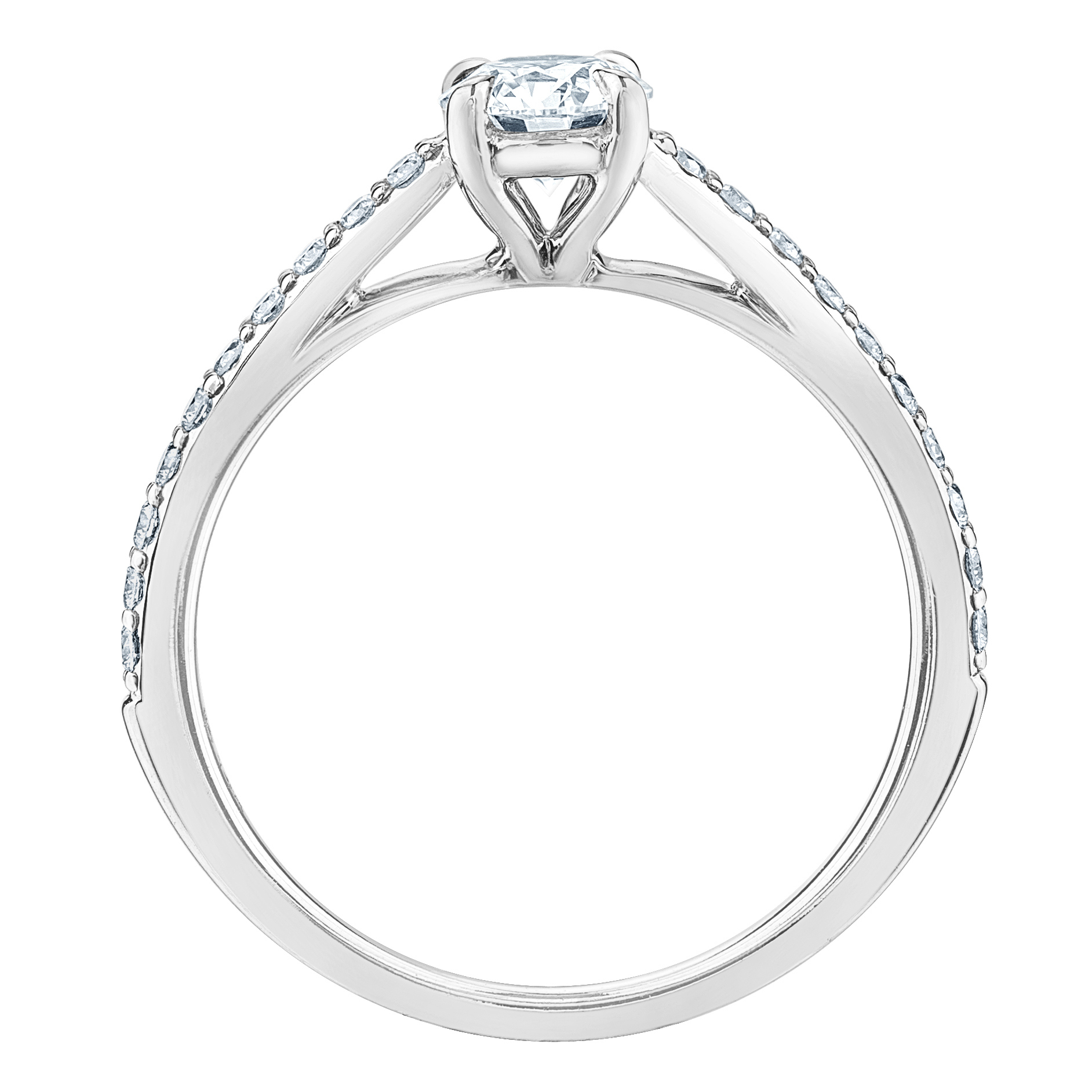 LD106 - Image 2