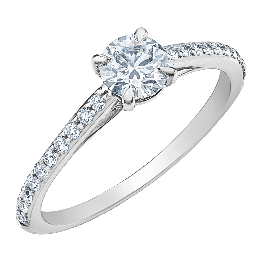 LD106 - Image 6