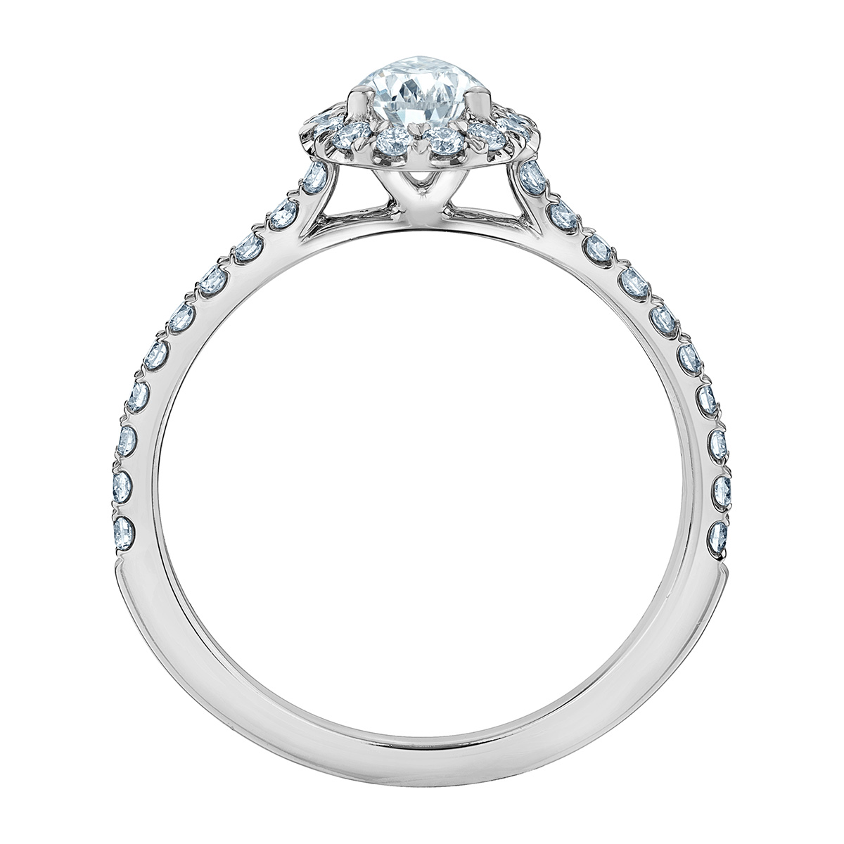 LD118 - Image 2
